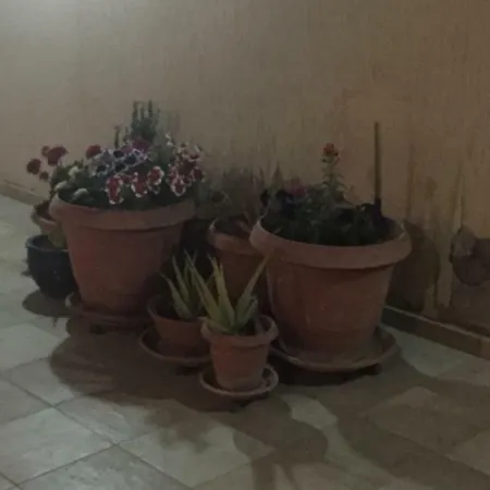 Artemis House アパート リマソール