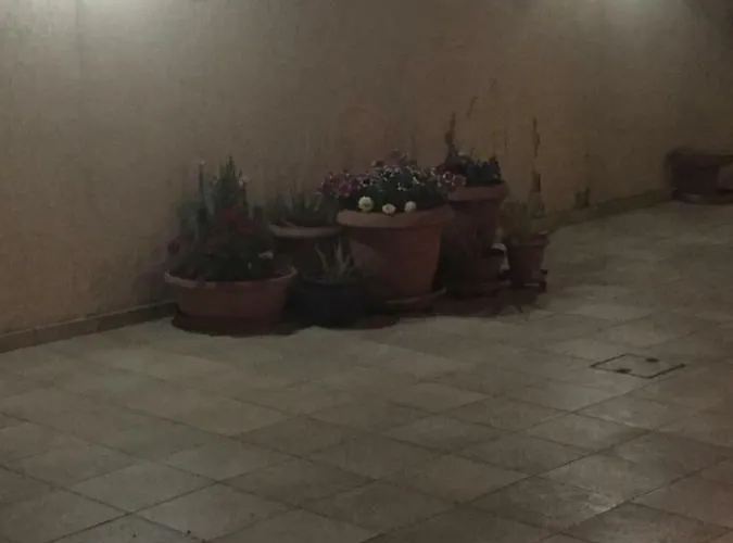 Apartment Artemis House *