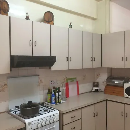 公寓 Artemis House 利马索尔