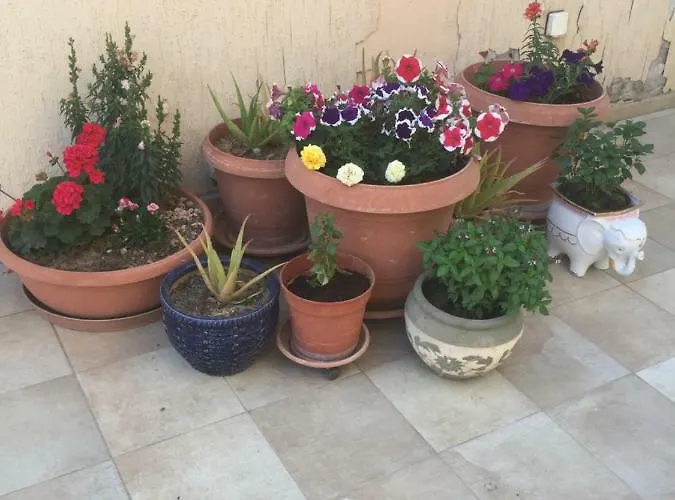 Artemis House Limassol