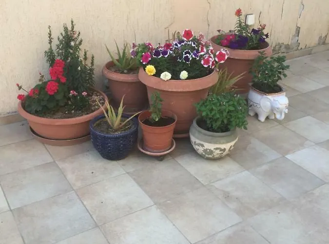 Apartman Artemis House