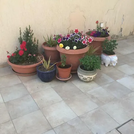 Apartamento Artemis House