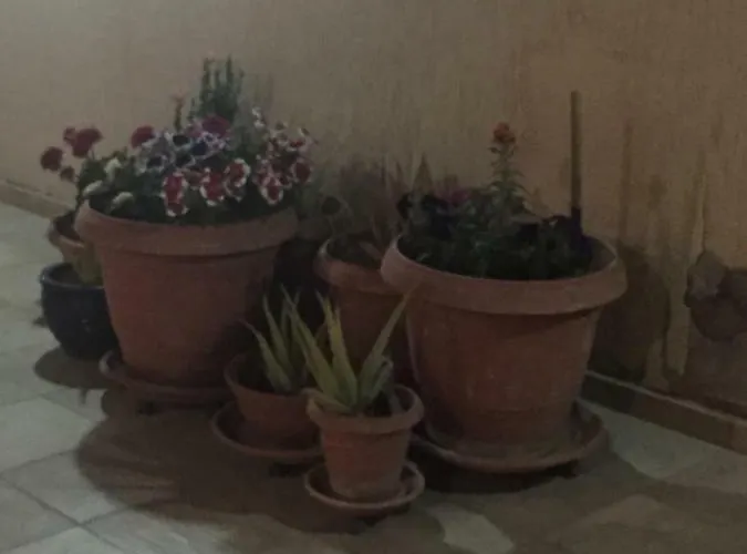 Artemis House Apartmán Lemesos